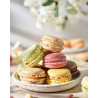 Petit macaron artisanal – biscuit gourmand fait maison